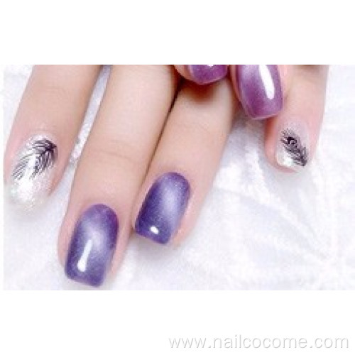 CCO High Quality colored crystal cat eye Gel Polish Nail for lady beauty